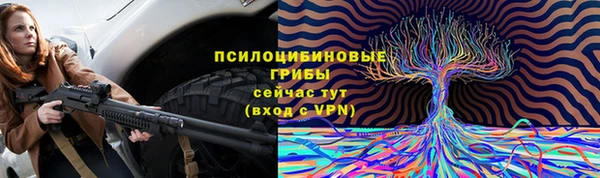 дмт Балахна